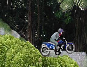 Trial-nan-jungle-2