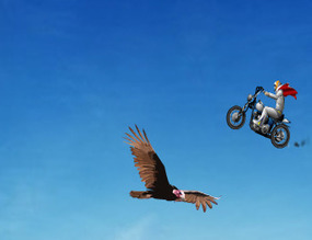 Springen-van-de-canyon-op-een-motorfiets-2