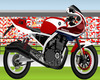 Ajuste-honda-cb1100r-2