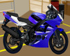 Sintonia-com-uma-kawasaki-ninja-2